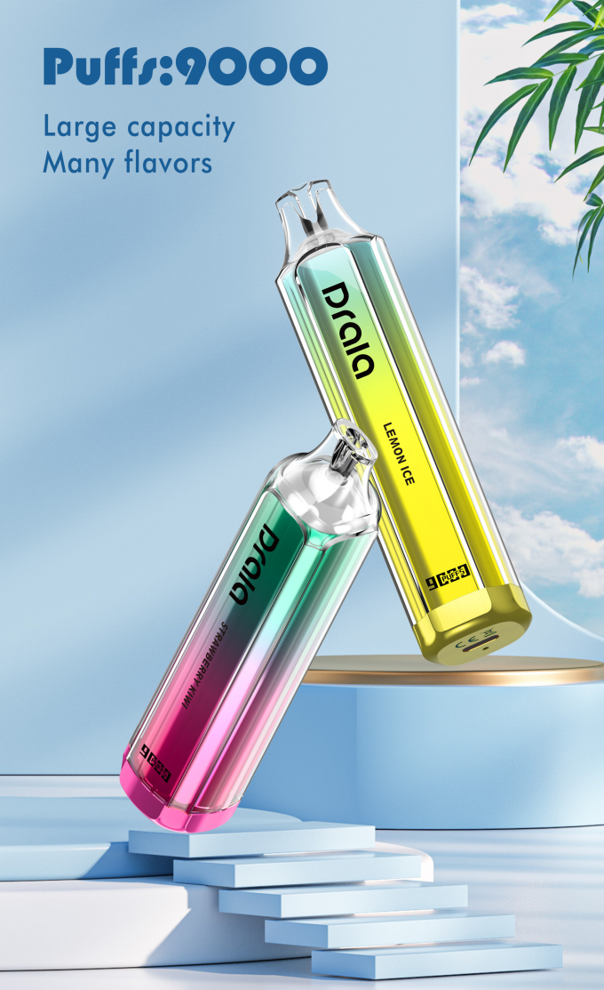 Επανακαταλογηστέο αρωματικό Ε λοβών Vape 9000 ριπών μίας χρήσης τσιγάρο συσκευών 1