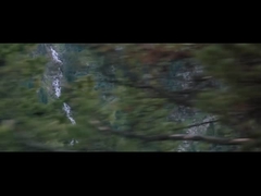 Σχεδιάγραμμα επιχείρησης